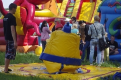 _IGP2452
