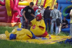 _IGP2455