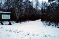 Miejsce-dawnej-bramy-głównej-na-obozie_01