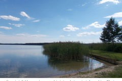 Umocnienie-linii-brzegowej-w-Piławie-