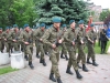 obraz-654