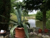 obraz-120
