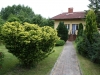 obraz-259