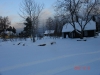 dsc04086