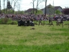 kaliningrad-2012-154