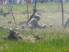 kaliningrad-203