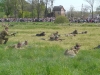 kaliningrad-216