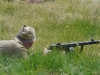 kaliningrad-225