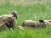 kaliningrad-242