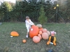 foto-110_46