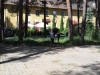 p1240551