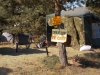 dscn1158