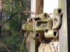 amk-038