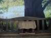 dsc05216