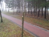 20151214_094114