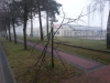 20151214_094141