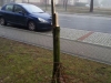 20151214_094228