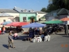 img-446