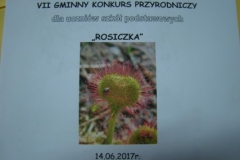 DSC03336