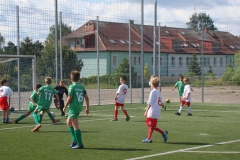DSC06995