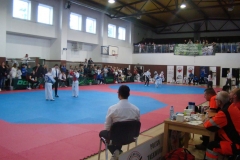 DSC07531
