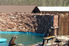 30948003_2136932663206018_1683819851_o