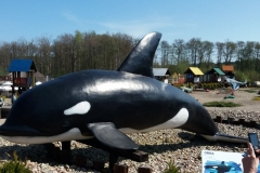 30952661_2136950419870909_551862830_o