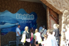 30962742_2136950416537576_195394274_o