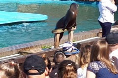 31460805_979799038841264_3841275890340200448_n