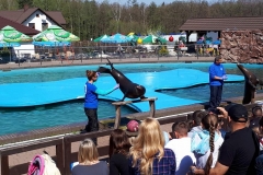 31466740_979798975507937_6552729898681630720_n