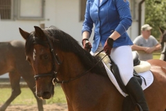 32267157_250407592182590_2845438996358627328_n