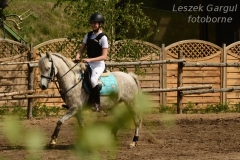 32293544_250407282182621_7841817599036882944_n