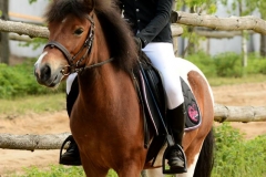 32293758_250407385515944_6564397117211672576_n