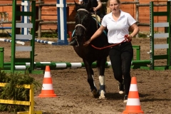 32359635_250407338849282_3543872211368542208_n