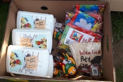 33430125_1708076599248295_3096593088802455552_n