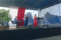 WP_20180902_113