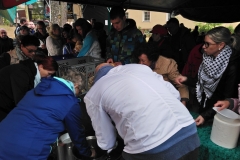 45,35,256,281.766968