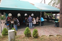 35,35,251,251.137589