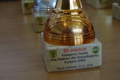 DSC00219