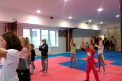 IMAG0801