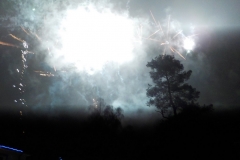 DSCN5517