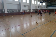 51580555_285235765482351_7170379692296372224_n