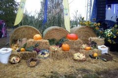 IMG_20190910_115046_300