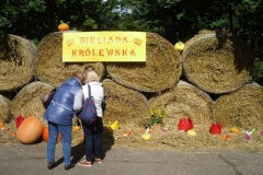 SDC14412