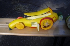 SDC14489