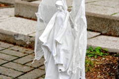 17 szkolenie
