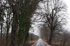 20191127_112615