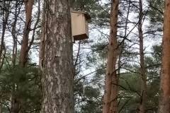 Zdjęcie z odbioru inwestycji „Poprawa jakości środowiska w miastach na terenie Związku Miast i Gmin Dorzecza Parsęty”, którego celem była rewaloryzacja, uporządkowanie i rozwój terenów zieleni w mieście Borne Sulinowo.