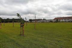 Zdjęcie z odbioru inwestycji „Poprawa jakości środowiska w miastach na terenie Związku Miast i Gmin Dorzecza Parsęty”, którego celem była rewaloryzacja, uporządkowanie i rozwój terenów zieleni w mieście Borne Sulinowo.