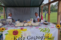 Turniej-MultiSport-23-lipca-w-Bornem-Sulinowie-_06